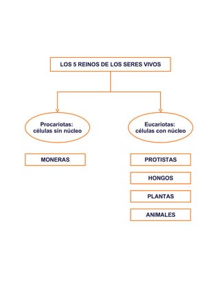 LOS 5 REINOS DE LOS SERES VIVOS MONERAS PROTISTAS HONGOS PLANTAS ANIMALES Procariotas:  células sin núcleo Eucariotas:  cé...