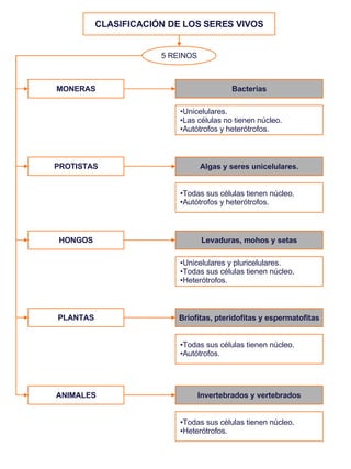CLASIFICACIÓN DE LOS SERES VIVOS 5 REINOS MONERAS PROTISTAS HONGOS PLANTAS ANIMALES Bacterias <ul><li>Unicelulares. </li><...
