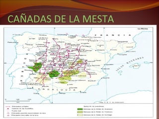 CAÑADAS DE LA MESTA 