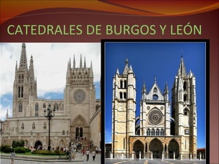 CATEDRALES DE BURGOS Y LEÓN 