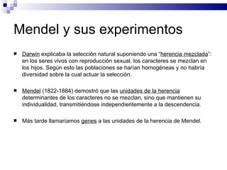 Mendel y sus experimentos Darwin  explicaba la selección natural suponiendo una “ herencia mezclada ”: en los seres vivos con reproducción sexual, los caracteres se mezclan en los hijos. Según esto las poblaciones se harían homogéneas y no habría diversidad sobre la cual actuar la selección. Mendel  (1822-1884) demostró que las  unidades de la herencia  determinantes de los caracteres no se mezclan, sino que mantienen su individualidad, transmitiéndose independientemente a la descendencia. Más tarde llamaríamos  genes  a las unidades de la herencia de Mendel.  