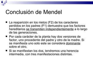 Conclusión de Mendel La reaparición en los nietos (F2) de los caracteres perdidos en los padres (F1) demuestra que los factores hereditarios  se transmiten independientemente  a lo largo de las generaciones. Por cada carácter de la planta hay dos versiones de factor, uno procedente del padre y otro de la madre. Si se manifiesta uno solo este se considera  dominante  sobre el otro. Si se manifiestan los dos, tendremos una herencia intermedia, con tres manifestaciones distintas. 