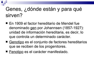 Genes, ¿dónde están y para qué sirven? En 1909 el factor hereditario de Mendel fue denominado  gen  por Johannsen (1857-1927): unidad de información hereditaria, es decir, lo que controla un determinado carácter. Genotipo  es el conjunto de factores hereditarios que se reciben de los progenitores. Fenotipo  es el carácter manifestado. 