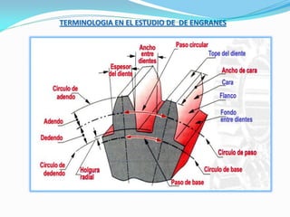 TERMINOLOGIA EN EL ESTUDIO DE DE ENGRANES
 