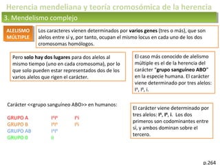 p.264
ALELISMO
MÚLTIPLE
ALELISMO
MÚLTIPLE
Los caracteres vienen determinados por varios genes (tres o más), que son
alelos entre sí y, por tanto, ocupan el mismo locus en cada uno de los dos
cromosomas homólogos.
3. Mendelismo complejo3. Mendelismo complejo
Herencia mendeliana y teoría cromosómica de la herencia
Pero solo hay dos lugares para dos alelos al
mismo tiempo (uno en cada cromosoma), por lo
que solo pueden estar representados dos de los
varios alelos que rigen el carácter.
El caso más conocido de alelismo
múltiple es el de la herencia del
carácter “grupo sanguíneo ABO”
en la especie humana. El carácter
viene determinado por tres alelos:
IA
, IB
, i.
Carácter <<grupo sanguíneo ABO>> en humanos:
GRUPO A IA
IA
IA
i
GRUPO B IB
IB
IB
i
GRUPO AB IA
IB
GRUPO 0 ii
El carácter viene determinado por
tres alelos: IA
, IB
, i. Los dos
primeros son codominantes entre
sí, y ambos dominan sobre el
tercero.
 