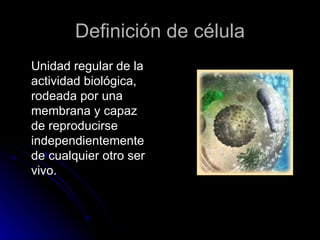 Definición de célula <ul><li>Unidad regular de la actividad biológica, rodeada por una membrana y capaz de reproducirse in...