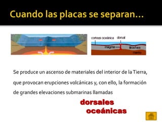 Se produce un ascenso de materiales del interior de laTierra,
que provocan erupciones volcánicas y, con ello, la formación
de grandes elevaciones submarinas llamadas
dorsales
oceánicas
 