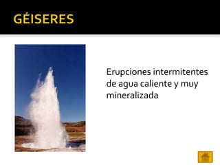 Erupciones intermitentes
de agua caliente y muy
mineralizada
 