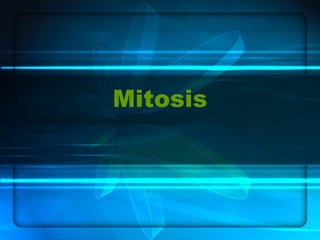 Mitosis 