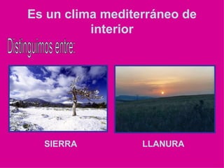 Es un clima mediterráneo de interior <ul><li>SIERRA </li></ul><ul><li>LLANURA </li></ul>Distinguimos entre: 