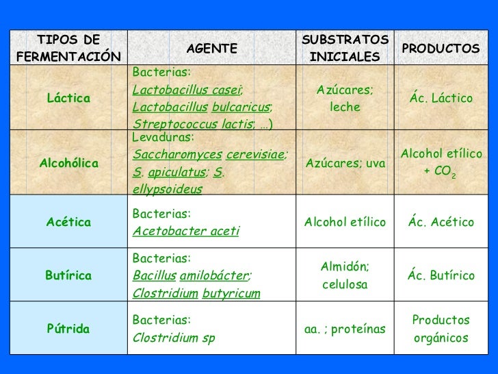 Tema 9 Glucolisis Y Fermentaciones