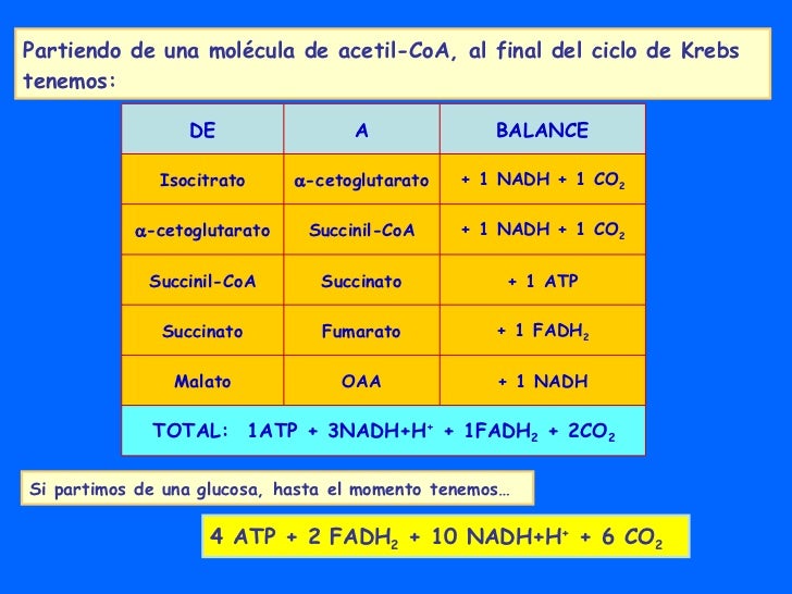 Tema 9 Glucolisis Y Fermentaciones
