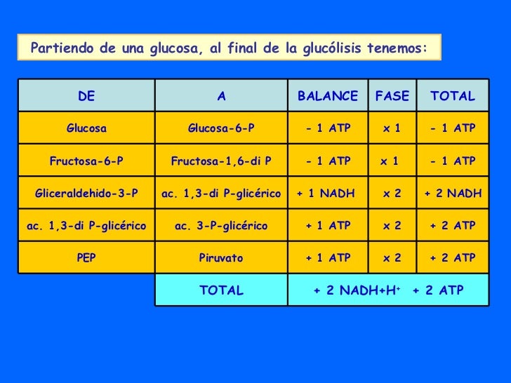Tema 9 Glucolisis Y Fermentaciones