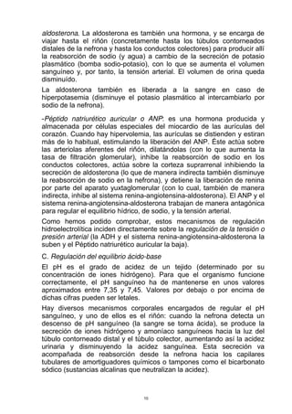 aldosterona. La aldosterona es también una hormona, y se encarga de
viajar hasta el riñón (concretamente hasta los túbulos contorneados
distales de la nefrona y hasta los conductos colectores) para producir allí
la reabsorción de sodio (y agua) a cambio de la secreción de potasio
plasmático (bomba sodio-potasio), con lo que se aumenta el volumen
sanguíneo y, por tanto, la tensión arterial. El volumen de orina queda
disminuído.
La aldosterona también es liberada a la sangre en caso de
hiperpotasemia (disminuye el potasio plasmático al intercambiarlo por
sodio de la nefrona).
-Péptido natriurético auricular o ANP: es una hormona producida y
almacenada por células especiales del miocardio de las aurículas del
corazón. Cuando hay hipervolemia, las aurículas se distienden y estiran
más de lo habitual, estimulando la liberación del ANP. Éste actúa sobre
las arteriolas aferentes del riñón, dilatándolas (con lo que aumenta la
tasa de filtración glomerular), inhibe la reabsorción de sodio en los
conductos colectores, actúa sobre la corteza suprarrenal inhibiendo la
secreción de aldosterona (lo que de manera indirecta también disminuye
la reabsorción de sodio en la nefrona), y detiene la liberación de renina
por parte del aparato yuxtaglomerular (con lo cual, también de manera
indirecta, inhibe al sistema renina-angiotensina-aldosterona). El ANP y el
sistema renina-angiotensina-aldosterona trabajan de manera antagónica
para regular el equilibrio hídrico, de sodio, y la tensión arterial.
Como hemos podido comprobar, estos mecanismos de regulación
hidroelectrolítica inciden directamente sobre la regulación de la tensión o
presión arterial (la ADH y el sistema renina-angiotensina-aldosterona la
suben y el Péptido natriurético auricular la baja).
C. Regulación del equilibrio ácido-base
El pH es el grado de acidez de un tejido (determinado por su
concentración de iones hidrógeno). Para que el organismo funcione
correctamente, el pH sanguíneo ha de mantenerse en unos valores
aproximados entre 7,35 y 7,45. Valores por debajo o por encima de
dichas cifras pueden ser letales.
Hay diversos mecanismos corporales encargados de regular el pH
sanguíneo, y uno de ellos es el riñón: cuando la nefrona detecta un
descenso de pH sanguíneo (la sangre se torna ácida), se produce la
secreción de iones hidrógeno y amoníaco sanguíneos hacia la luz del
túbulo contorneado distal y el túbulo colector, aumentando así la acidez
urinaria y disminuyendo la acidez sanguínea. Esta secreción va
acompañada de reabsorción desde la nefrona hacia los capilares
tubulares de amortiguadores químicos o tampones como el bicarbonato
sódico (sustancias alcalinas que neutralizan la acidez).
10
 