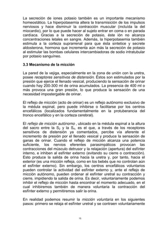 La secreción de iones potasio también es un importante mecanismo
homeostático. La hiperpotasemia altera la transmisición de los impulsos
nerviosos y hace disminuir la contracción muscular (incluída la del
miocardio), por lo que puede hacer al sujeto entrar en coma o en parada
cardíaca. Gracias a la secreción de potasio, éste ión no alcanza
concentraciones letales en sangre. Además, la hiperpotasemia también
estimula a la corteza suprarrenal para que ésta sintetice y secrete
aldosterona, hormona que incrementa aún más la secreción de potasio
al estimular las bombas celulares intercambiadoras de sodio intratubular
por potasio sanguíneo.
3.3 Mecanismo de la micción
La pared de la vejiga, especialmente en la zona de unión con la uretra,
posee receptores sensitivos de distensión. Éstos son estimulados por la
presión que ejerce el llenado vesical, produciendo la sensación de orinar
cuando hay 200-300 ml de orina acumulados. La presencia de 400 ml o
más provoca una gran presión, lo que produce la sensación de una
necesidad impostergable de orinar.
El reflejo de micción (acto de orinar) es un reflejo autónomo exclusivo de
la médula espinal, pero puede inhibirse o facilitarse por los centros
encefálicos (localizados fundamentalmente en la protuberancia del
tronco encefálico y en la corteza cerebral).
El reflejo de micción autónomo , ubicado en la médula espinal a la altura
del sacro entre la S2 y la S4, es el que, a través de los receptores
sensitivos de distensión ya comentados, percibe vía aferente el
incremento de presión por el llenado vesical y produce la sensación de
ganas de orinar. Cuando el reflejo de micción alcanza una potencia
suficiente, los nervios eferentes parasimpáticos provocan las
contracciones del músculo detrusor y la relajación (apertura) del esfínter
interno, e inhiben al esfínter externo (evitando su cierre o contracción).
Esto produce la salida de orina hacia la uretra y, por tanto, hacia el
exterior (es una micción refleja, como en los bebés que no controlan aún
el esfínter externo). Sin embargo, los centros encefálicos voluntarios
pueden controlar la actividad del esfínter externo y, ante el reflejo de
micción autónomo, pueden ordenar al esfínter uretral su contracción y
cierre, impidiendo la salida de orina. Es decir, voluntariamente podemos
inhibir el reflejo de micción hasta encontrar el momento adecuado, en el
cual inhibiremos también de manera voluntaria la contracción del
esfínter externo y permitiremos salir la orina.
En realidad podemos resumir la micción voluntaria en los siguientes
pasos: primero se relaja el esfínter uretral y se contraen voluntariamente
15
 