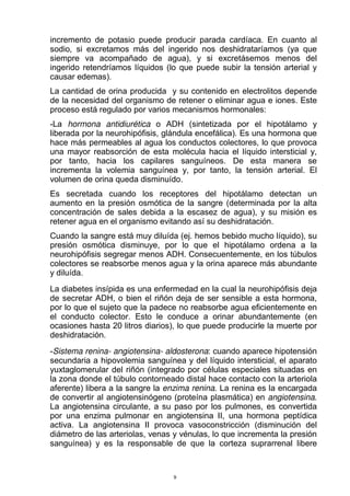 incremento de potasio puede producir parada cardíaca. En cuanto al
sodio, si excretamos más del ingerido nos deshidrataríamos (ya que
siempre va acompañado de agua), y si excretásemos menos del
ingerido retendríamos líquidos (lo que puede subir la tensión arterial y
causar edemas).
La cantidad de orina producida y su contenido en electrolitos depende
de la necesidad del organismo de retener o eliminar agua e iones. Este
proceso está regulado por varios mecanismos hormonales:
-La hormona antidiurética o ADH (sintetizada por el hipotálamo y
liberada por la neurohipófisis, glándula encefálica). Es una hormona que
hace más permeables al agua los conductos colectores, lo que provoca
una mayor reabsorción de esta molécula hacia el líquido intersticial y,
por tanto, hacia los capilares sanguíneos. De esta manera se
incrementa la volemia sanguínea y, por tanto, la tensión arterial. El
volumen de orina queda disminuído.
Es secretada cuando los receptores del hipotálamo detectan un
aumento en la presión osmótica de la sangre (determinada por la alta
concentración de sales debida a la escasez de agua), y su misión es
retener agua en el organismo evitando así su deshidratación.
Cuando la sangre está muy diluída (ej. hemos bebido mucho líquido), su
presión osmótica disminuye, por lo que el hipotálamo ordena a la
neurohipófisis segregar menos ADH. Consecuentemente, en los túbulos
colectores se reabsorbe menos agua y la orina aparece más abundante
y diluída.
La diabetes insípida es una enfermedad en la cual la neurohipófisis deja
de secretar ADH, o bien el riñón deja de ser sensible a esta hormona,
por lo que el sujeto que la padece no reabsorbe agua eficientemente en
el conducto colector. Esto le conduce a orinar abundantemente (en
ocasiones hasta 20 litros diarios), lo que puede producirle la muerte por
deshidratación.
-Sistema renina- angiotensina- aldosterona: cuando aparece hipotensión
secundaria a hipovolemia sanguínea y del líquido intersticial, el aparato
yuxtaglomerular del riñón (integrado por células especiales situadas en
la zona donde el túbulo contorneado distal hace contacto con la arteriola
aferente) libera a la sangre la enzima renina. La renina es la encargada
de convertir al angiotensinógeno (proteína plasmática) en angiotensina.
La angiotensina circulante, a su paso por los pulmones, es convertida
por una enzima pulmonar en angiotensina II, una hormona peptídica
activa. La angiotensina II provoca vasoconstricción (disminución del
diámetro de las arteriolas, venas y vénulas, lo que incrementa la presión
sanguínea) y es la responsable de que la corteza suprarrenal libere
9
 