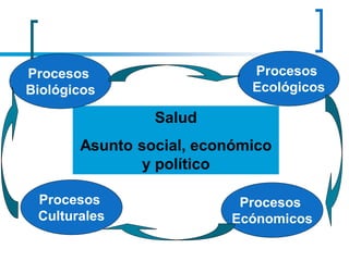 Salud
Asunto social, económico
y político
Procesos
Culturales
Procesos
Ecónomicos
Procesos
Ecológicos
Procesos
Biológicos
 