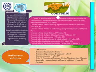 La Oficina cuenta con unos
2.700 funcionarios de más de
150 nacionalidades quienes se
desempeñan en la sede en
Ginebra y en 40 oficinas en
diversos lugares del mundo
La Oficina también cuenta con
un centro documentación e
investigación, y como casa
editora publica estudios
especializados, informes y
revistas.
El Consejo de Administración de la OIT ha establecido que ocho convenios son
"fundamentales". Estos abarcan temas que son considerados como principios y
derechos fundamentales en el trabajo:
Convenio sobre la libertad sindical y la protección del derecho de sindicación,
1948 (núm. 87)
Convenio sobre el derecho de sindicación y de negociación colectiva, 1949 (núm.
98)
Convenio sobre el trabajo forzoso, 1930 (núm. 29)
Convenio sobre la abolición del trabajo forzoso, 1957 (núm. 105)
Convenio sobre la edad mínima, 1973 (núm. 138)
Convenio sobre las peores formas de trabajo infantil, 1999 (núm. 182)
Convenio sobre igualdad de remuneración, 1951 (núm. 100)
Convenio sobre la discriminación (empleo y ocupación), 1958 (núm. 111)
Ratificaciones
de México
•78 Convenios
•Convenios fundamentales: 6 sobre 8
•Convenios de gobernanza (Prioritarios): 1 sobre 4
•Convenios técnicos: 71 sobre 177
De los 78 Convenios ratificados por México, 70 están en vigor, 8 han sido
denunciados y ninguno ha sido ratificado en los últimos 12 meses78
Convenios
 