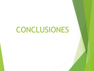 CONCLUSIONES
 