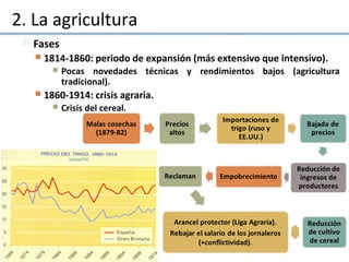 2. La agricultura
 Fases
 1814-1860: periodo de expansión (más extensivo que intensivo).
 Pocas novedades técnicas y rendimientos bajos (agricultura
tradicional).
 1860-1914: crisis agraria.
 Crisis del cereal.
 