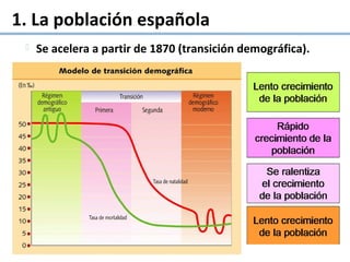  Se acelera a partir de 1870 (transición demográfica).
1. La población española
 