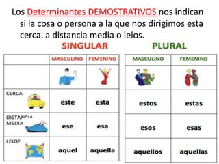 Los Determinantes DEMOSTRATIVOS nos indican
si la cosa o persona a la que nos dirigimos esta
cerca, a distancia media o lejos.
 