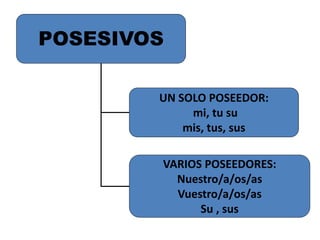 POSESIVOS
UN SOLO POSEEDOR:
mi, tu su
mis, tus, sus
VARIOS POSEEDORES:
Nuestro/a/os/as
Vuestro/a/os/as
Su , sus
 