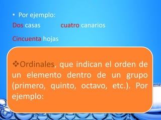 • Por ejemplo:
Dos casas cuatro canarios
Cincuenta hojas
Ordinales, que indican el orden de
un elemento dentro de un grupo
(primero, quinto, octavo, etc.). Por
ejemplo:
 