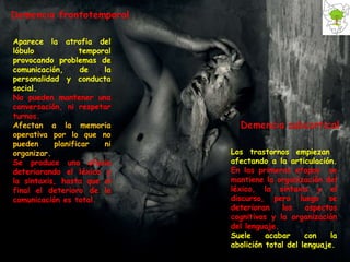Aparece la atrofia del lóbulo temporal provocando problemas de comunicación, de la personalidad y conducta social. No pueden mantener una conversación, ni respetar turnos. Afectan a la memoria operativa por lo que no pueden planificar ni organizar. Se produce una afasia deteriorando el léxico y la sintaxis, hasta que al final el deterioro de la comunicación es total. Los trastornos empiezan  afectando a la articulación.  En las primeras etapas  se mantiene la organización del léxico, la sintaxis y el discurso, pero luego se deterioran los aspectos cognitivos y la organización del lenguaje. Suele acabar con la abolición total del lenguaje. 