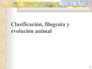 C lasificación, filogenia y evolución animal 