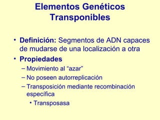 Elementos Genéticos Transponibles Definición:  Segmentos de ADN capaces de mudarse de una localización a otra Propiedades Movimiento al “azar” No poseen autorreplicación Transposición mediante recombinación específica Transposasa 