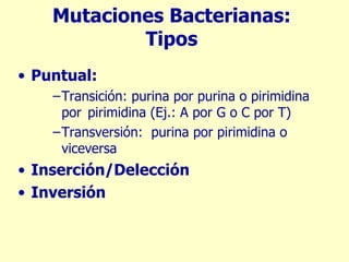 Mutaciones Bacterianas: Tipos Puntual:   Transición: purina por purina o pirimidina por pirimidina (Ej.: A por G o C por T) Transversión:  purina por pirimidina o viceversa Inserción/Delección Inversión 