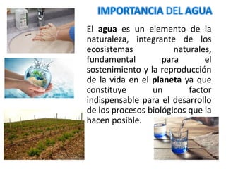 Tema 01 importancia del agua para la vida en el planeta | PDF