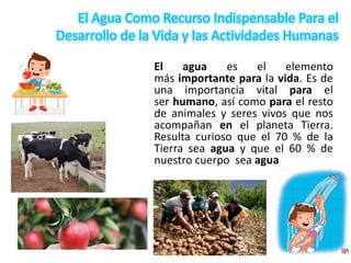 Tema 01 importancia del agua para la vida en el planeta | PDF