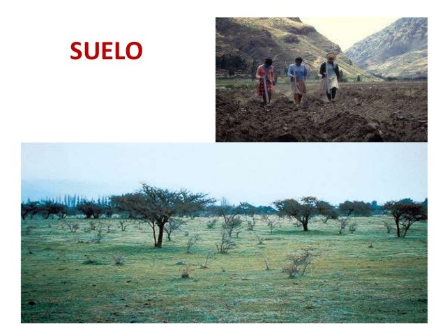 Recursos Bióticos Recursos inagotables Son aquellos que no se extinguen, sin importar la cantidad de actividades productivas que el hombre realice. Los minerales son indispensables ya que se poseen muchas aplicaciones en diversos campos, se pueden fabricar productos, herramientas, equipos de cómputo, artículos de ornamento, ropa e incluso edificios.