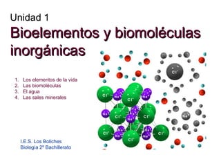 Unidad 1
Bioelementos y biomoléculas
Bioelementos y biomoléculas
inorgánicas
inorgánicas
I.E.S. Los Boliches
Biología 2º Bachillerato
1. Los elementos de la vida
2. Las biomoléculas
3. El agua
4. Las sales minerales
 