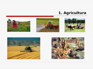 1. Agricultura
 