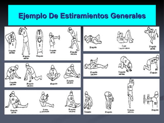 Ejemplo De Estiramientos Generales 