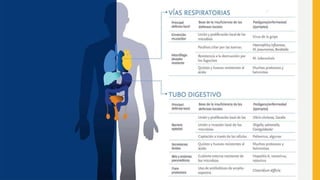 TEMA02PRIMER PRINCIPIO DE BIOSEGURIDAD.pptx