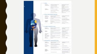 TEMA02PRIMER PRINCIPIO DE BIOSEGURIDAD.pptx