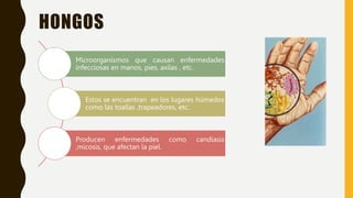 HONGOS
Microorganismos que causan enfermedades
infecciosas en manos, pies, axilas , etc.
Estos se encuentran en los lugares húmedos
como las toallas ,trapeadores, etc.
Producen enfermedades como candiasis
,micosis, que afectan la piel.
 