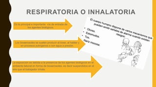RESPIRATORIA O INHALATORIA
La exposición es debida a la presencia de los agentes biológicos en el
ambiente laboral en forma de bioaerosoles, es decir suspendidos en el
aire que el trabajador inhala.
Es la principal e importante vía de entrada de
los agentes biológicos.
Los bioaerosoles se suelen producir al toser, al hablar y
en procesos pulvígenos o con agua a presión.
 