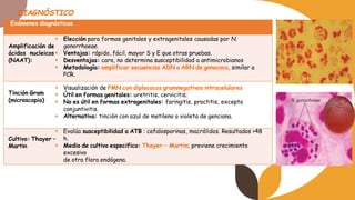 DIAGNÓSTICO
Exámenes diagnósticos
Amplificación de
ácidos nucleicos
(NAAT):
▪ Elección para formas genitales y extragenitales causadas por N.
gonorrhoeae.
▪ Ventajas: rápido, fácil, mayor S y E que otras pruebas.
▪ Desventajas: caro, no determina susceptibilidad a antimicrobianos
▪ Metodología: amplificar secuencias ADN o ARN de gonococo, similar a
PCR.
Tinción Gram
(microscopia)
▪ Visualización de PMN con diplococos gramnegativos intracelulares
▪ Útil en formas genitales: uretritis, cervicitis;
▪ No es útil en formas extragenitales: faringitis, proctitis, excepto
conjuntivitis.
▪ Alternativa: tinción con azul de metileno o violeta de genciana.
Cultivo: Thayer –
Martin
▪ Evalúa susceptibilidad a ATB : cefalosporinas, macrólidos. Resultados >48
h.
▪ Medio de cultivo especifico: Thayer – Martin; previene crecimiento
excesivo
de otra flora endógena.
 