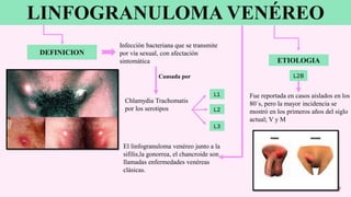 LINFOGRANULOMA VENÉREO
20
DEFINICION
Infección bacteriana que se transmite
por vía sexual, con afectación
sintomática
Causada por
Chlamydia Trachomatis
por los serotipos
L1
L2
L3
El linfogranuloma venéreo junto a la
sifilis,la gonorrea, el chancroide son
llamadas enfermedades venéreas
clásicas.
ETIOLOGIA
L2B
Fue reportada en casos aislados en los
80´s, pero la mayor incidencia se
mostró en los primeros años del siglo
actual; V y M
 