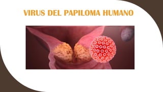 VIRUS DEL PAPILOMA HUMANO
 