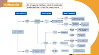 TAMIZACIÓN Un programa efectivo e ideal de vigilancia
epidemiológica consta de varios pasos.
 
