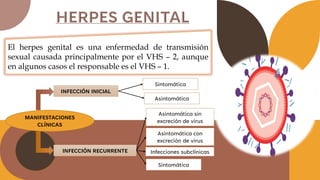 El herpes genital es una enfermedad de transmisión
sexual causada principalmente por el VHS – 2, aunque
en algunos casos el responsable es el VHS – 1.
MANIFESTACIONES
CLÍNICAS
INFECCIÓN INICIAL
INFECCIÓN RECURRENTE
Sintomática
Asintomática
Asintomática sin
excreción de virus
Asintomática con
excreción de virus
Infecciones subclínicas
Sintomática
 