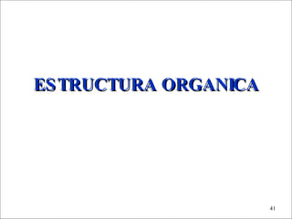 ESTRUCTURA ORGANICA 