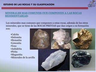 ESTUDIO DE LAS ROCAS Y SU CLASIFICACION 
Los minerales mas comunes que componen a estas rocas, además de los otros 
minerales, que se tiene de las ROCAS PREVIAS que dan origen a su formación 
son: 
•Calcita 
•Dolomita 
•Hematita 
•Limonita 
•Yeso 
•Anhidrita 
•Pirita 
•Magnetita 
•Minerales de la arcilla 
 