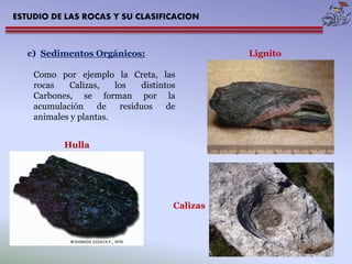 ESTUDIO DE LAS ROCAS Y SU CLASIFICACION 
c) Sedimentos Orgánicos: 
Como por ejemplo la Creta, las 
rocas Calizas, los distintos 
Carbones, se forman por la 
acumulación de residuos de 
animales y plantas. 
Calizas 
Lignito 
Hulla 
 